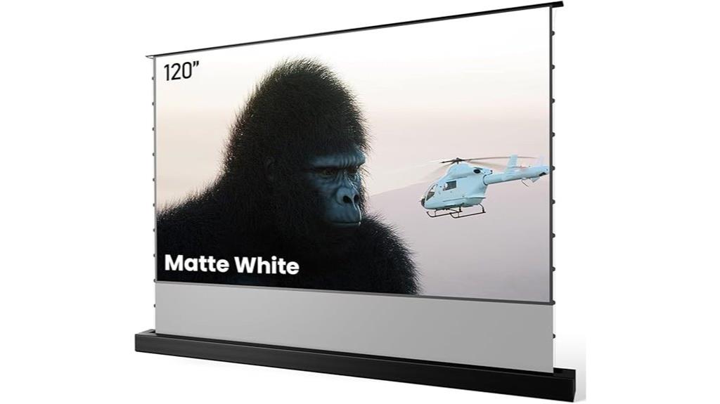 motorized indoor outdoor screen