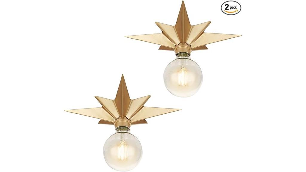 two pack ceiling lights