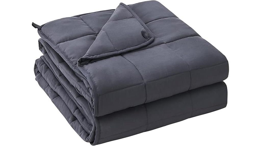20 lb grey queen blanket
