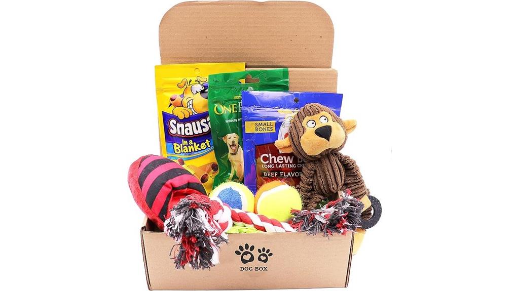 dog gift box with toys