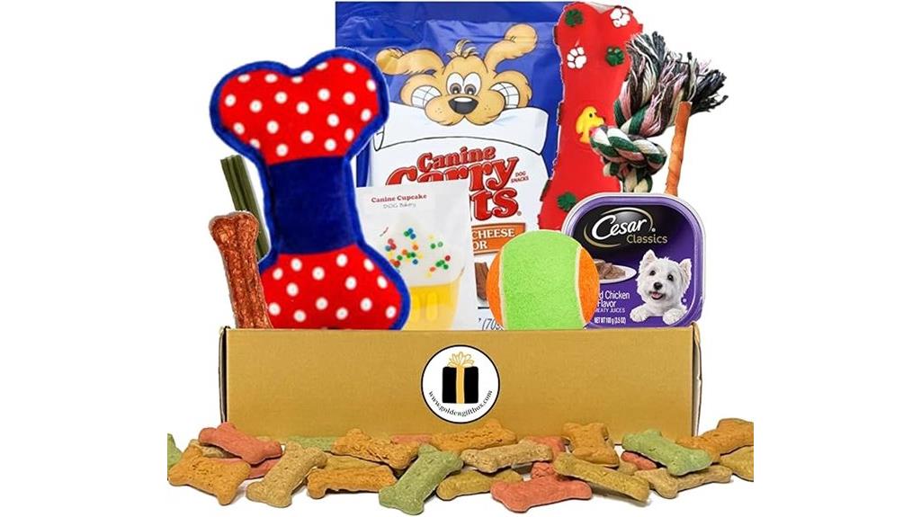 dog gift box with treats