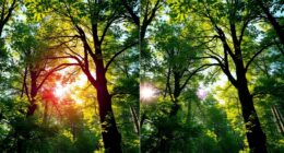 hdr vs blu ray quality