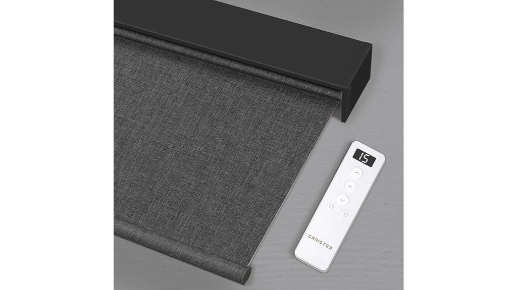 motorized window shade