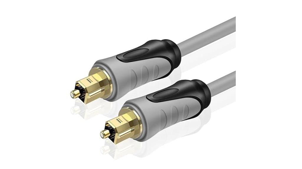 ten foot digital optical cable