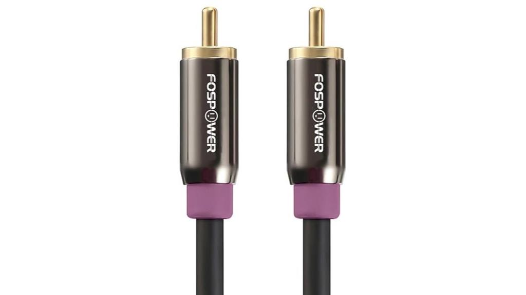 ten foot rca audio cable