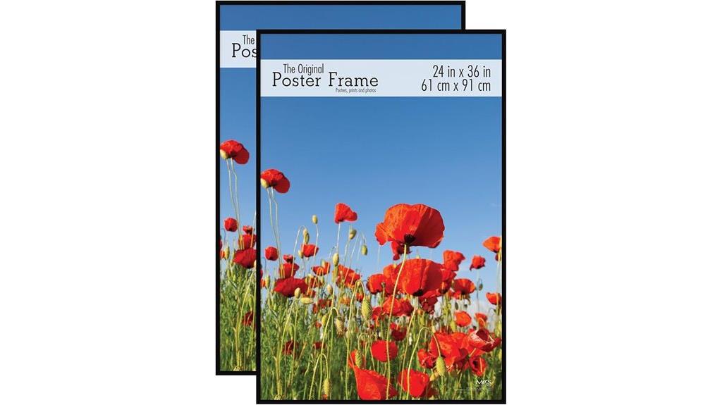 black 24x36 poster frames