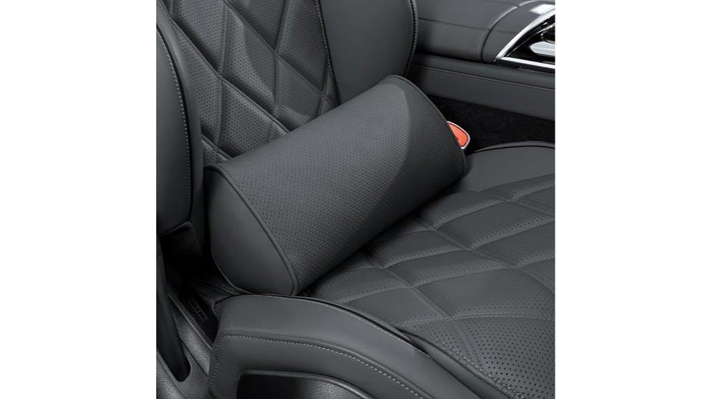 car and office lumbar pillow