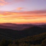 color adjustment tips