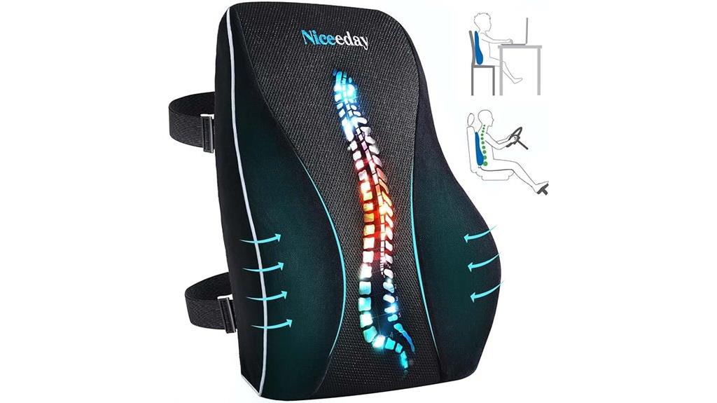 office and car lumbar pillow