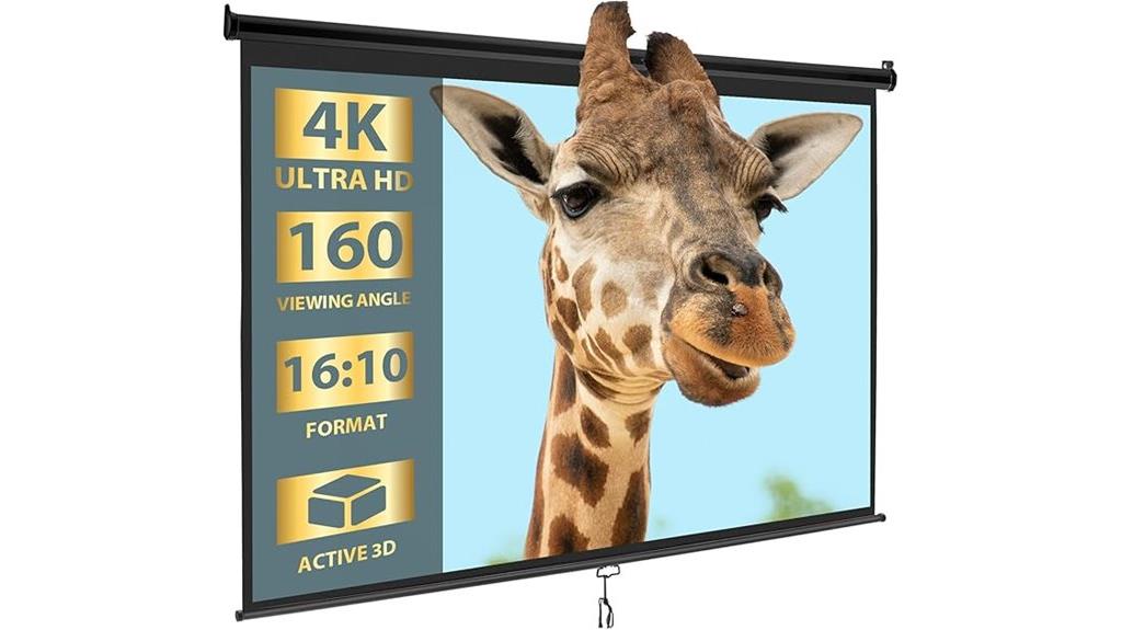 portable 100 hd screen