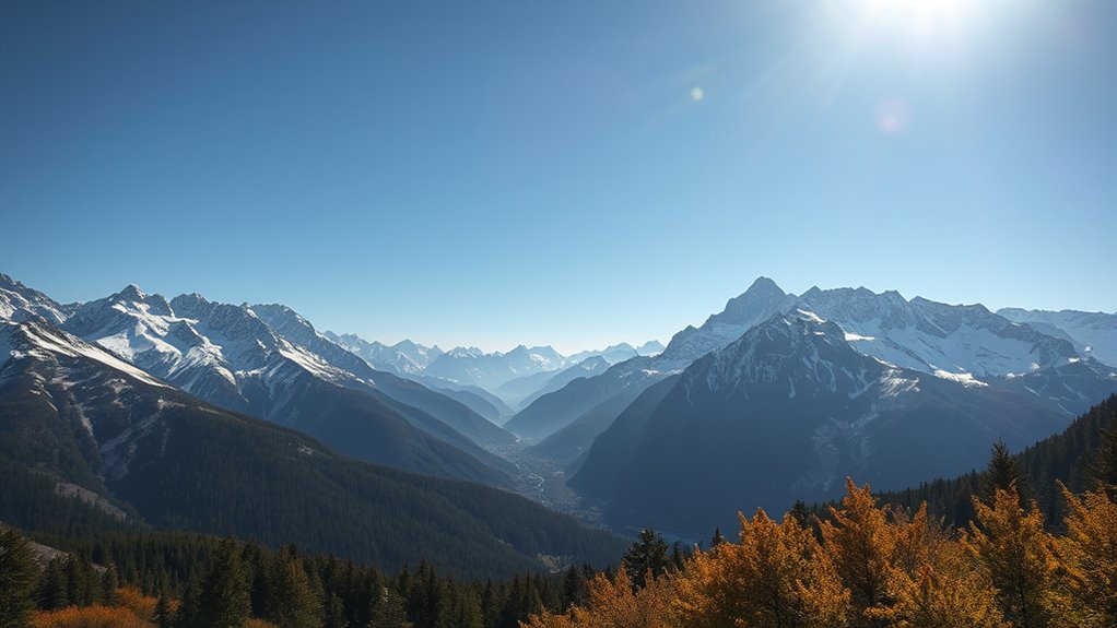 static versus dynamic metadata