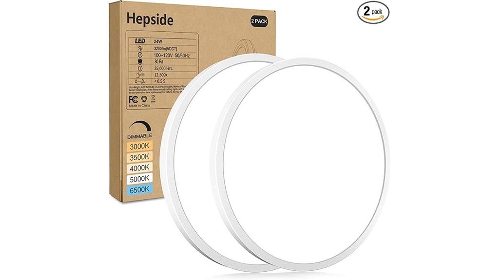 two pack ceiling lights
