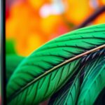 video resolution comparison guide