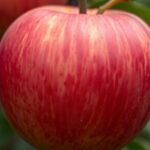 adjust your display settings