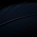 Achieving True Black Levels deepest darkest black levels