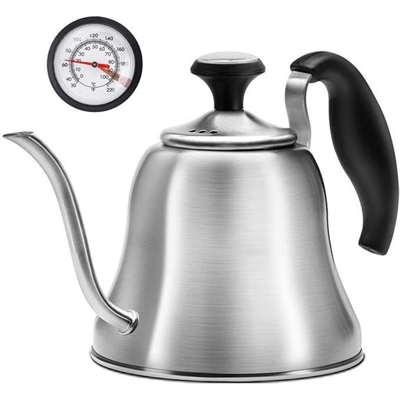 Stainless Steel 28oz Gooseneck Tea & Coffee Kettle