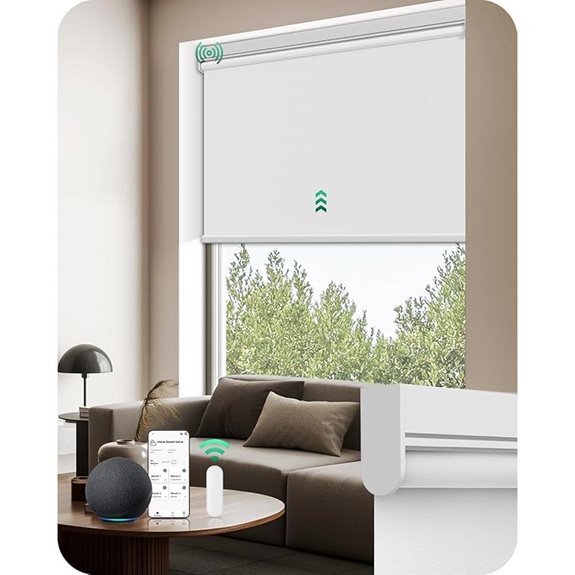 Allesin Motorized Smart Blackout Roller Blinds