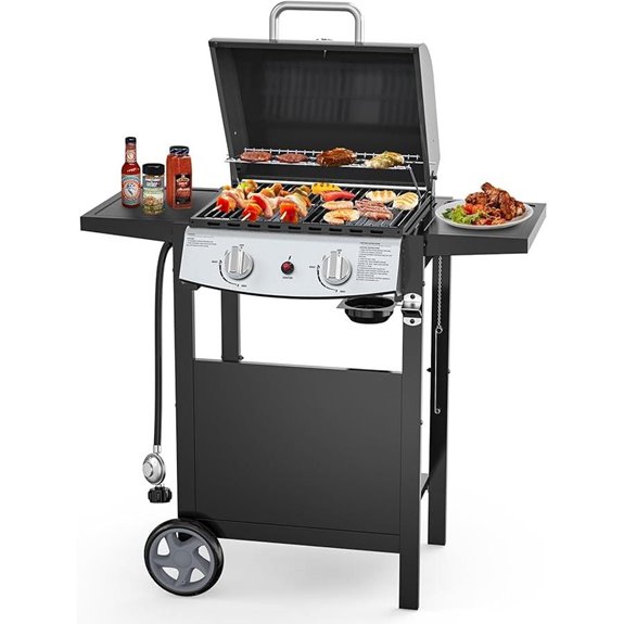 2-Burner Portable Propane Gas BBQ Grill