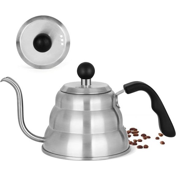 Stainless Steel Gooseneck Tea Kettle 800ml