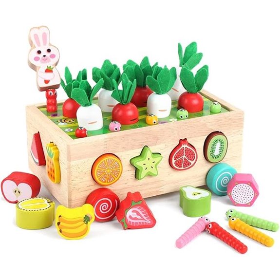 Montessori Wooden Shape Sorting Toys for Toddlers