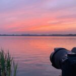 disable vivid mode now