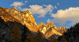 faulty hdr setting dulls image