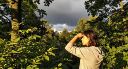 Yellow Storm Warning Limits Access To Sonian Forest And Brussels Parks