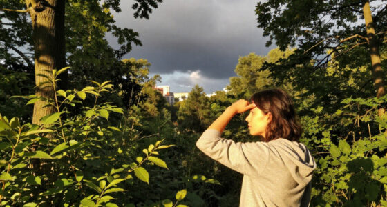 Yellow Storm Warning Limits Access To Sonian Forest And Brussels Parks